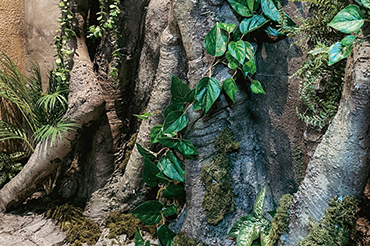 サウンドロック